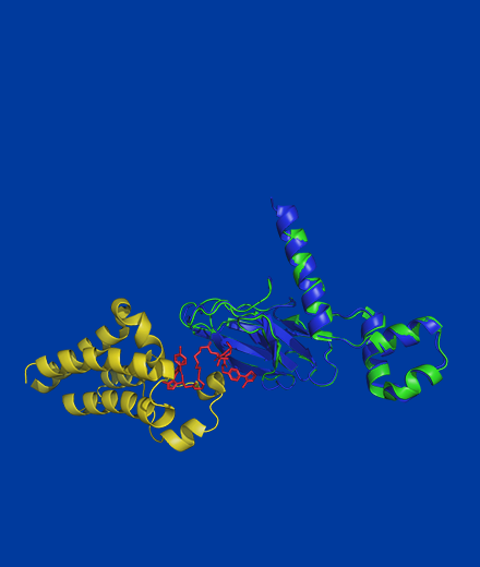 IDEA晶泰人工智能实验室